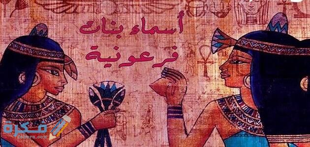 images 2021 08 11T110207.223