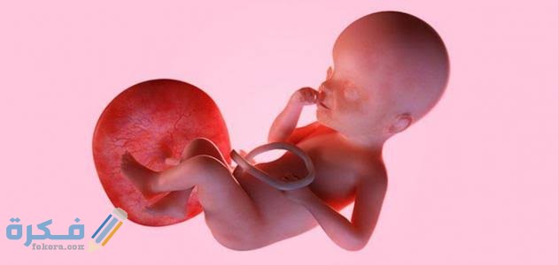 images 2021 08 11T173545.726