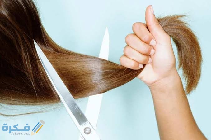 images 2021 08 27T213016.992