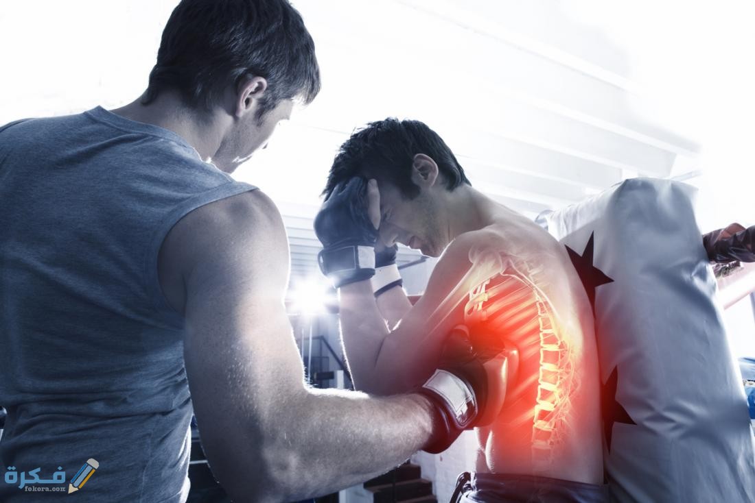 عدد ضلوع جسم الانسان 3 هيكل جسم الإنسان