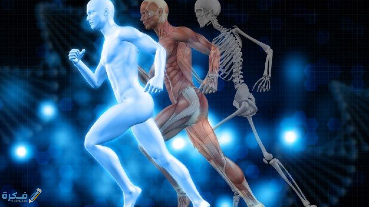 عجائب جسم الإنسان