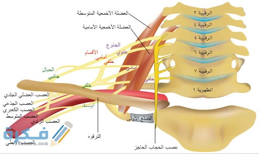 علاج الكعبرة