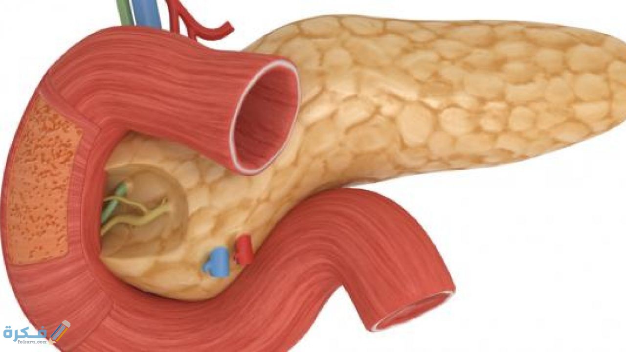 اين-تقع-جزر-لانجرهانز
