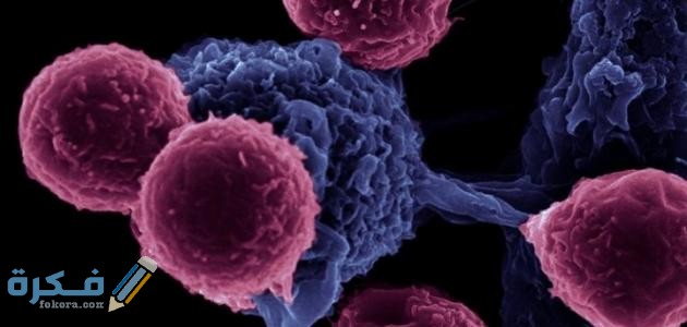 ما أهمية تنوع خلايا جسم الإنسان