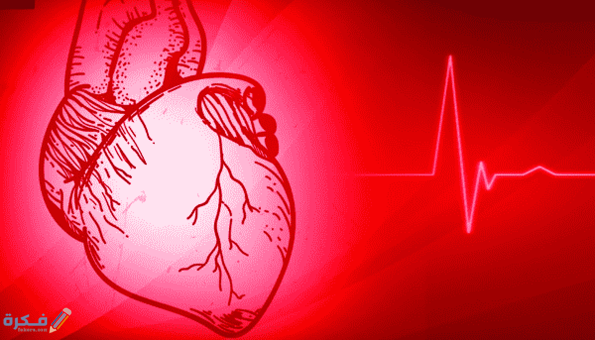 ضربات القلب