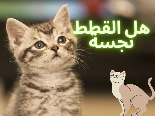 18796242 2613 49A3 BF46 9E4734EB98EA