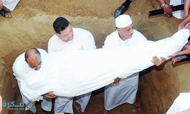 79AD8D64 C097 4F7C 9DF7 DA60E6D2EC9A