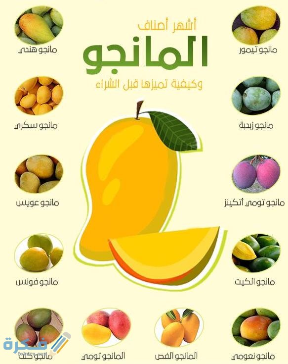 9227A40D 9EFB 40D0 9DBF 3797D72E4AF9