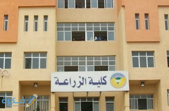 BAC1A60C BA2B 4518 B44A 0562B72E10B9