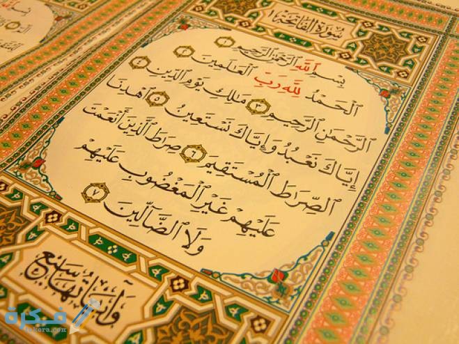 D5685B10 AA79 4286 873D 3C7C03EFC113