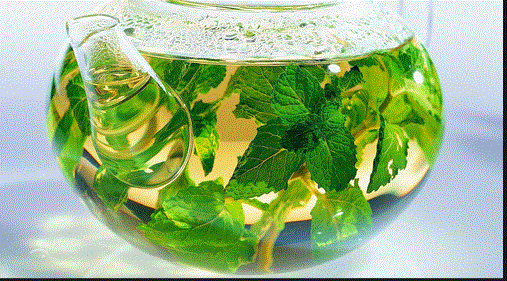 تجربتي مع شرب النعناع يوميا