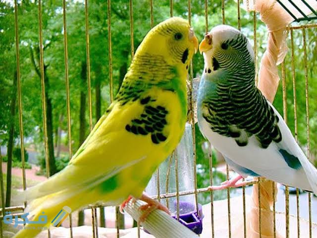 images 2021 09 12T201754.652