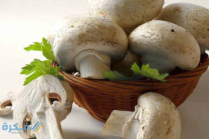 images 2021 09 28T224936.806