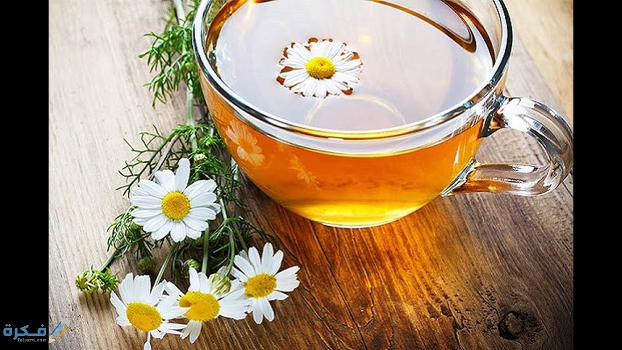 تجربتي مع شرب البابونج يوميا