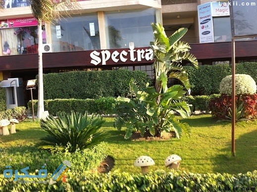 سبكترا الشجرة عنوان الكافية – منيو اسبكترا الشجرة