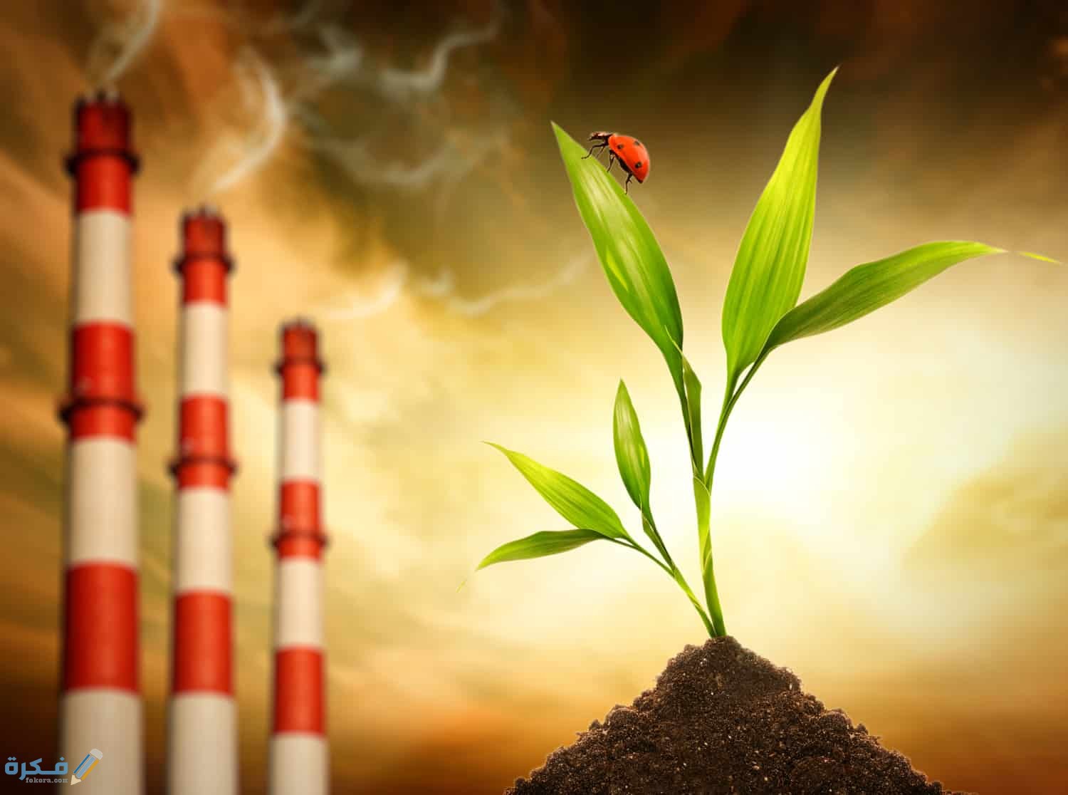 المحافظة علي البيئة