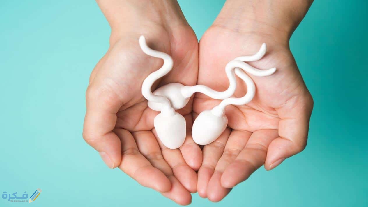 هل يجوز بلع سائل الرجل