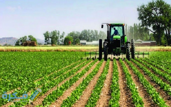 ما هي مشكلات التنمية الريفية و شرح نهج التنمية الريفية التقليدية