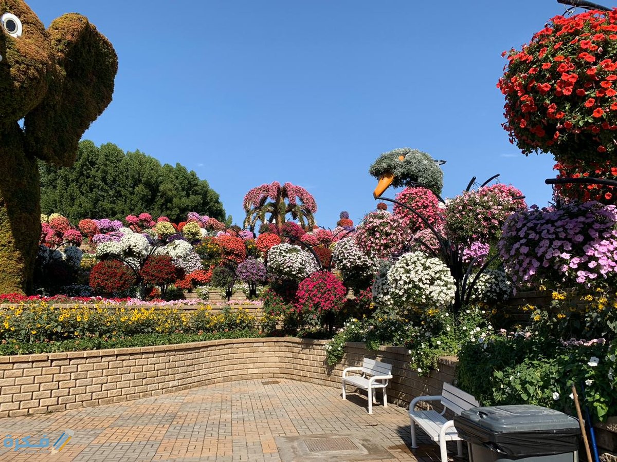 طريقة تنسيق الحدائق من خلال إستخدام الزهور