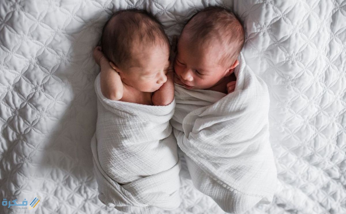 أضمن شرح خطوات للحمل بتوأم ذكور مجربة 9 أضمن طريقة للحمل بتوأم ذكور