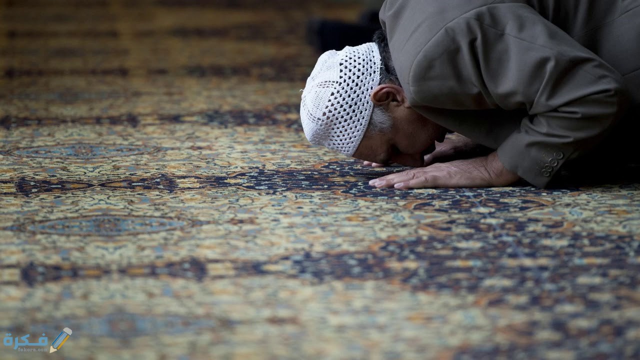 هل كل المسلمين يدخلون الجنة