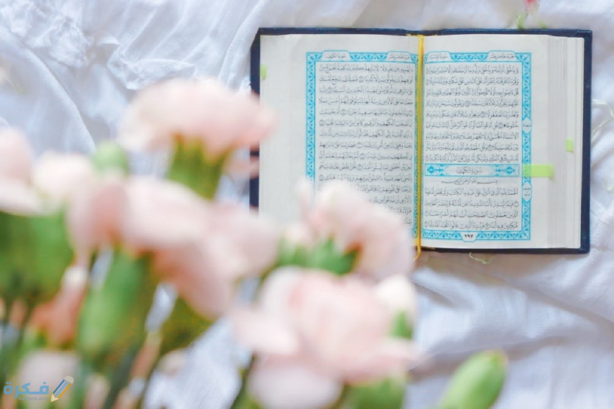 أسئلة ثقافية قرآنية