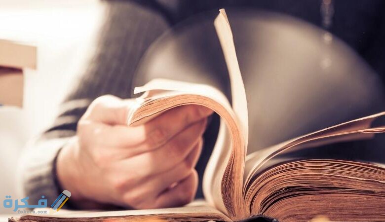 رواية سيدة القصر