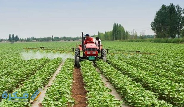 مواعيد زراعة المحاصيل الزراعية في لبنان القطاع الزراعي ومميزاته