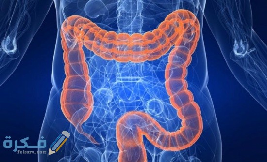 افضل طريقة طبيعية لتنظيف القولون