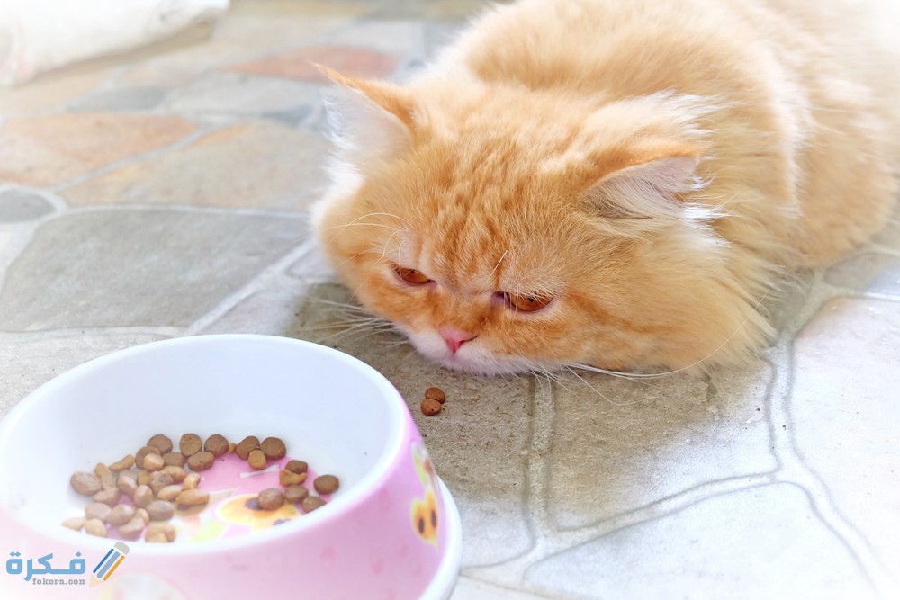 94938487 7B09 432E 9F51 A08D31BD5813