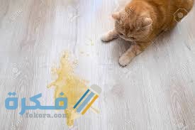 D2853E56 08AE 4B21 A766 B922C50066B9