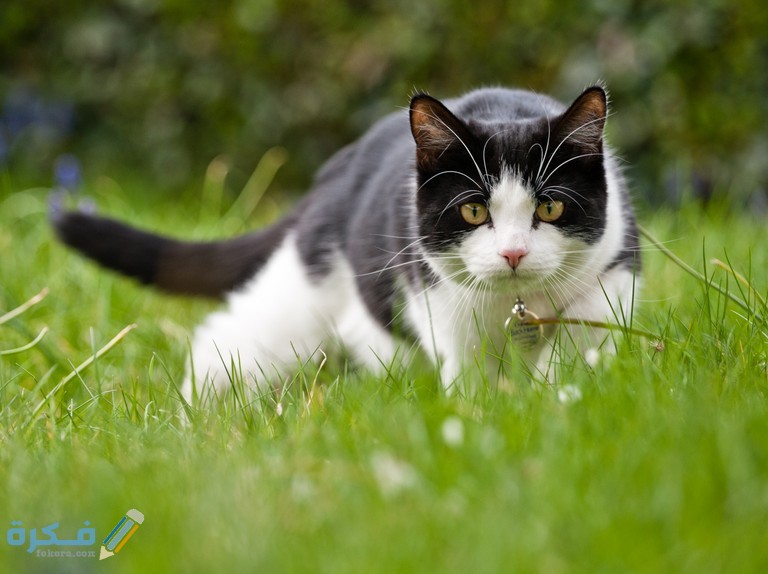 GettyImages 172050389 8ab8710