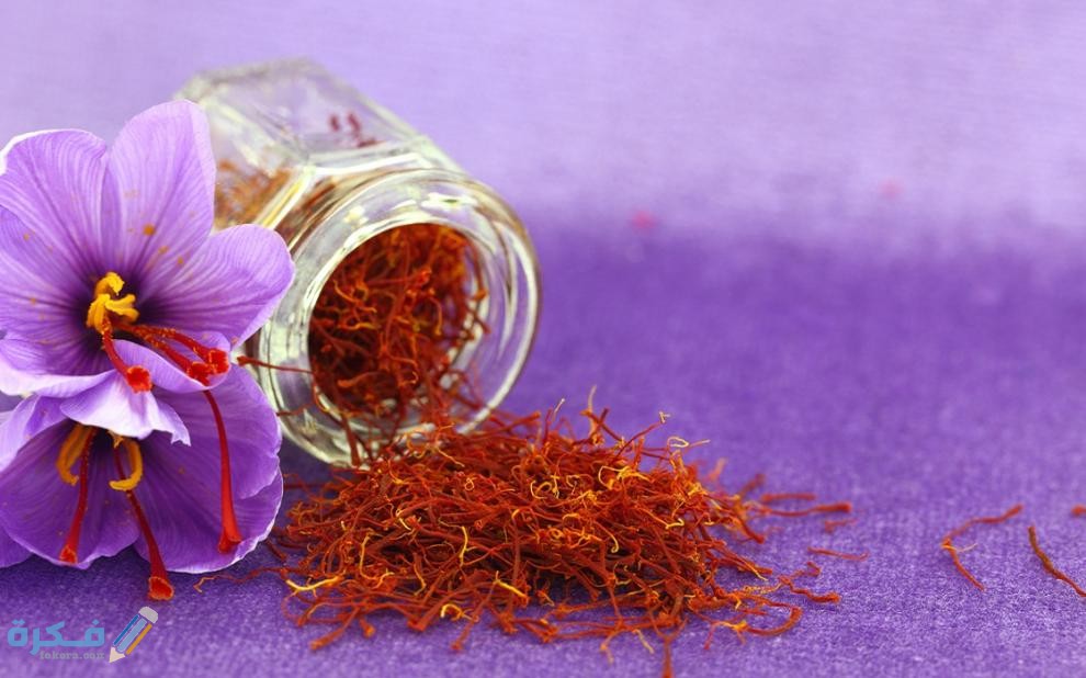 اسماء الدول المنتجة للزعفران 5 الدول المنتجة للزعفران