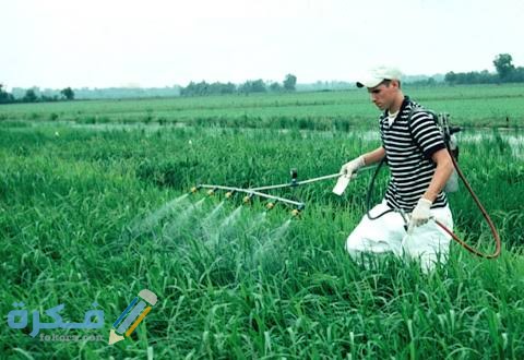 images 2021 11 30T000023.163