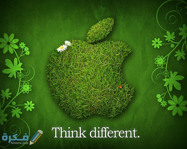 طريقة عمل إعلان جذاب للمنتج