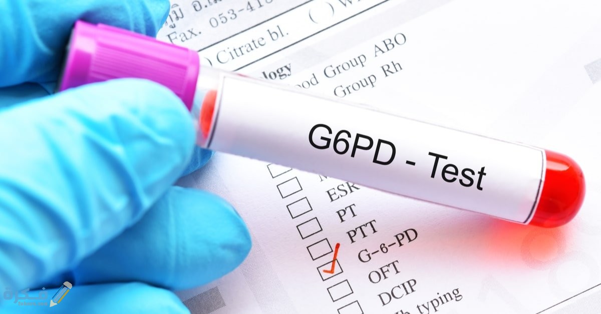 ygugoghhavb81 article