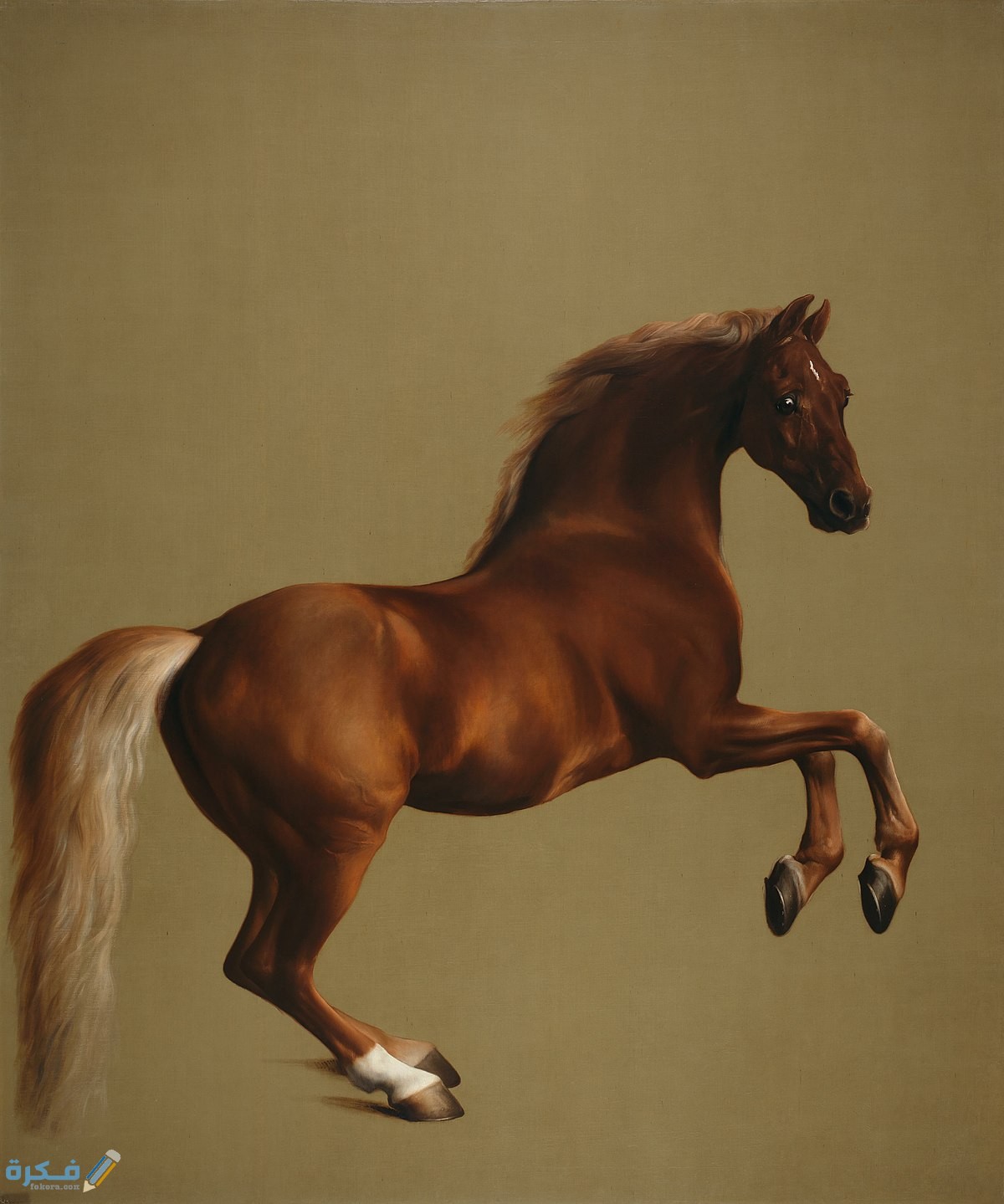 1200px Whistlejacket by George Stubbs edit