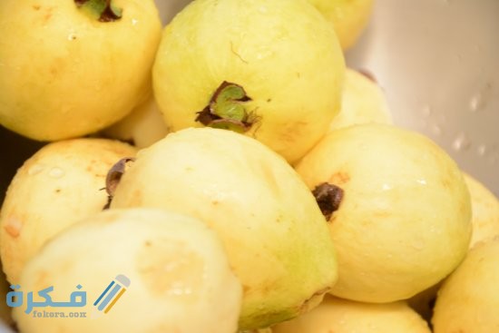 انواع الجوافة