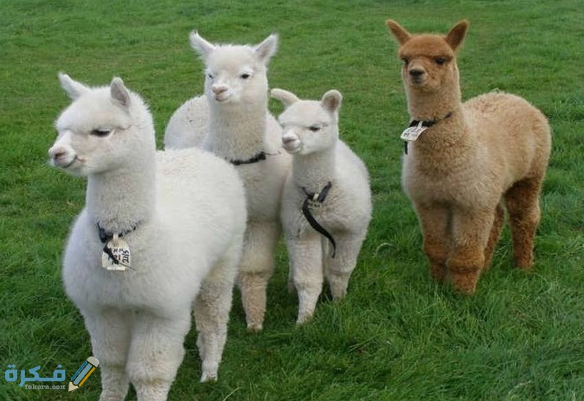 35F93A51 A85E 4E17 A147 1054970B52B5