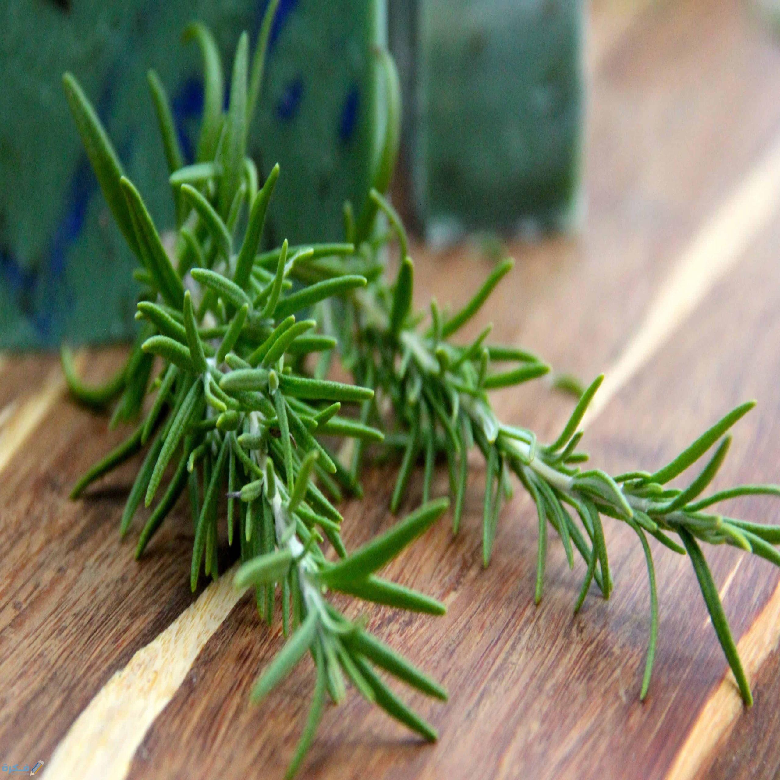 41310850 73C4 4C8F BCAC A58153786A28