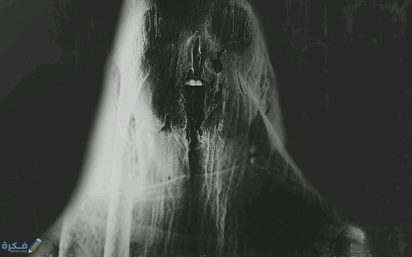 78861 عمار البيت