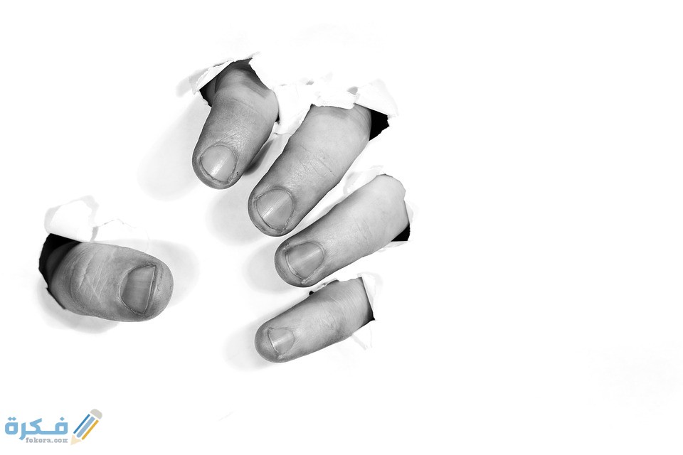 82FADD7B 963C 41E1 8604 AA0C08DE3433