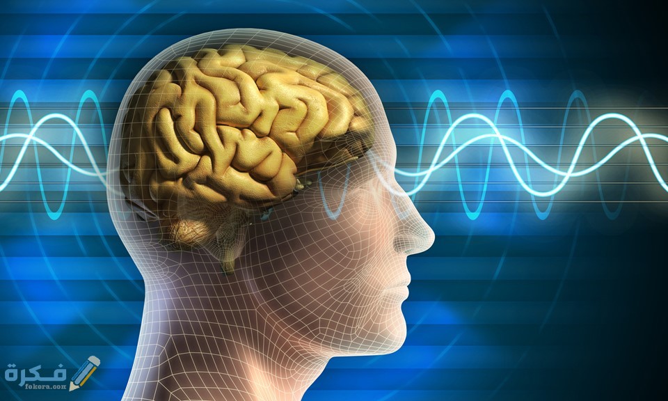 A69BEF48 28D6 4433 AC3E F3BBB70347C4