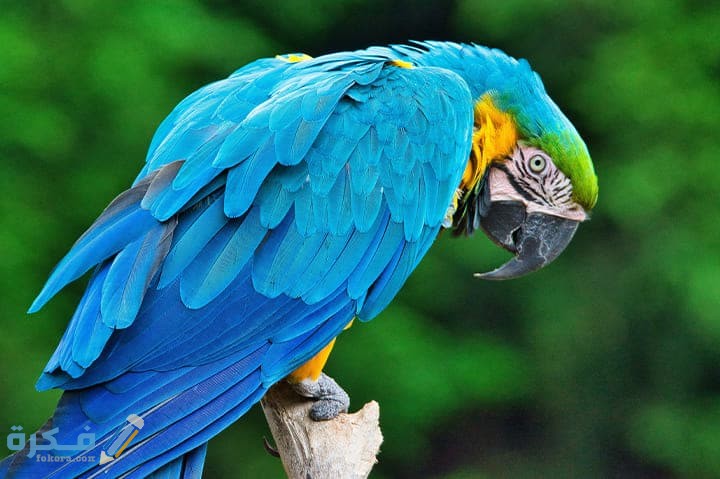 christopher alvarenga 3osGqRRtQBE unsplash