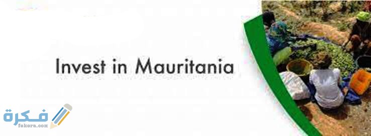 فوائد الاستثمار في موريتانيا
