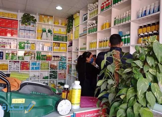 images 2021 12 02T200804.218