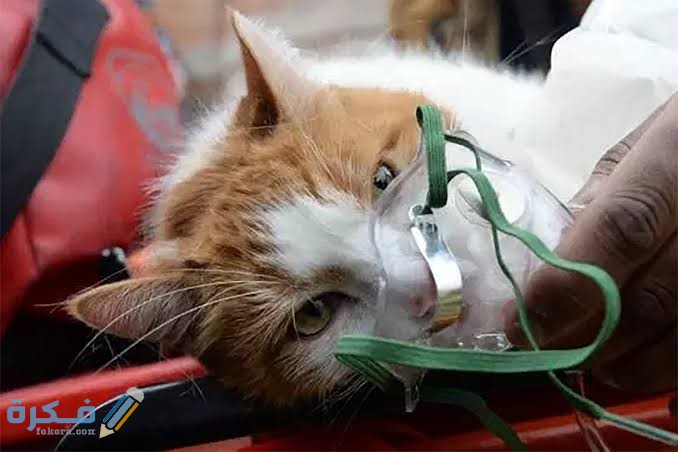 images 2021 12 02T200913.040