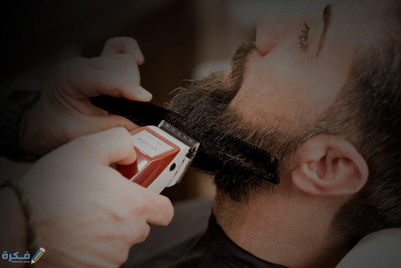 section worldwide.jpg 13486