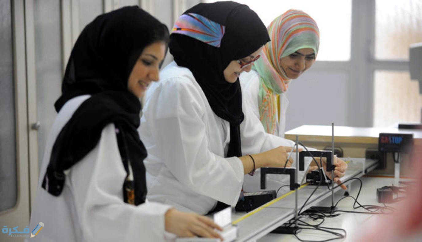 هندسة الاتصالات والكهرباء