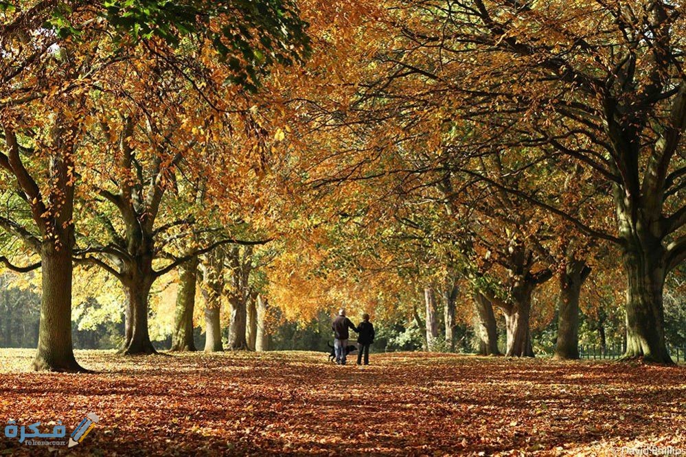 متى يبدأ فصل الخريف